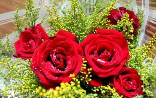 北京韦林意威特工业内窥镜有限公司预祝大家新年快乐，喜乐安康！