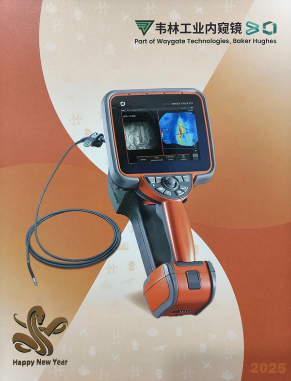 韦林与您共绘2025新篇章